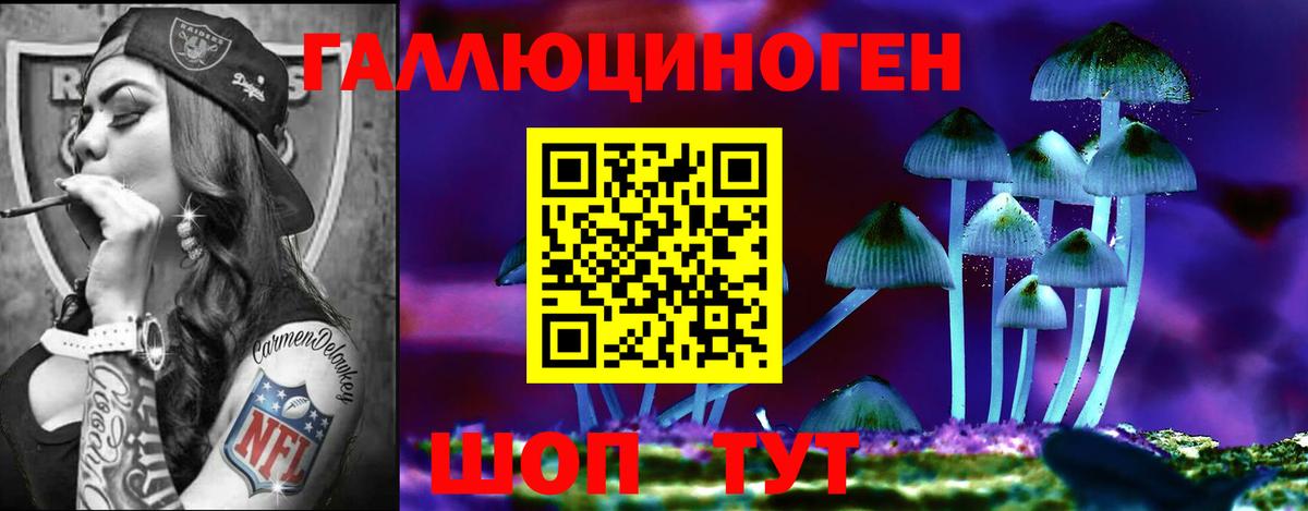 Галлюциногенные грибы ЛСД  продажа наркотиков  Дмитров  Псилоцибиновые грибы Psilocybine cubensis  Вход с VPN 